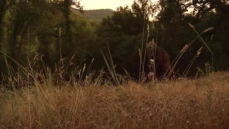 Bigfoot's Wild Weekend