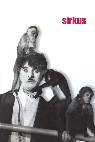 Sirkus