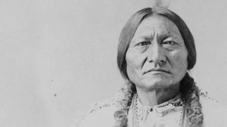 Sitting Bull: A Stone in My Heart