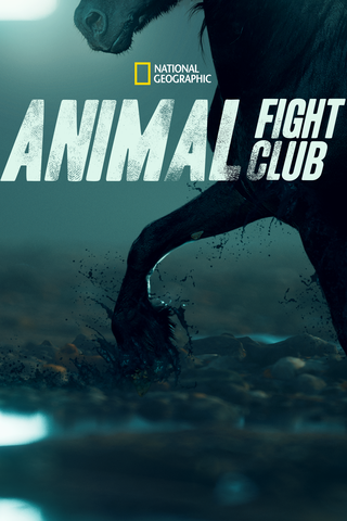 Animal Fight Club