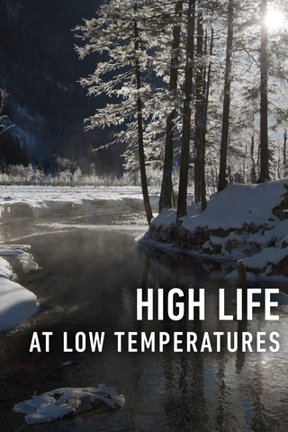 High Life at Low Temperatures