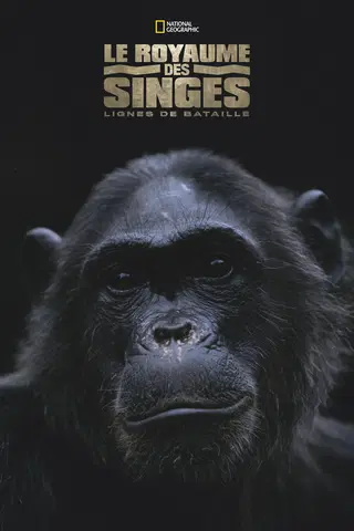 Le Royaume des singes : Lignes de bataille