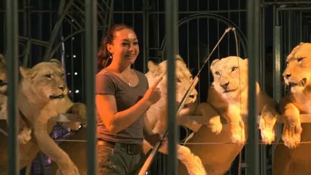 Wild Women – Gentle Beasts