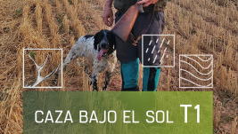Caza bajo el sol