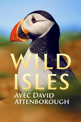 WILD ISLES