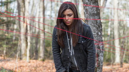 Pyewacket