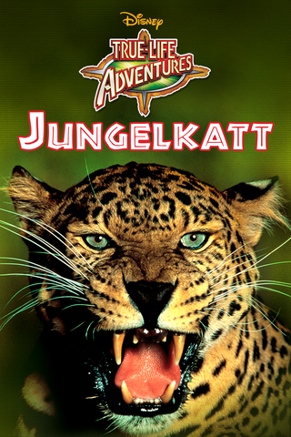 Jungelkatt