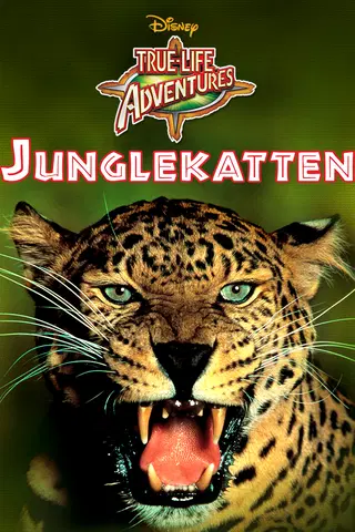 Junglekatten