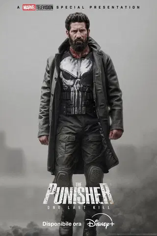 The Punisher: One Last Kill
