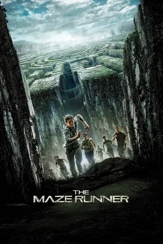 The Maze Runner