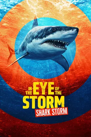 In the Eye of the Storm: Shark Storm
