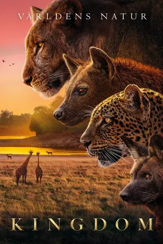 Kingdom