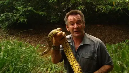 Jaguar Adventure With Nigel Marven