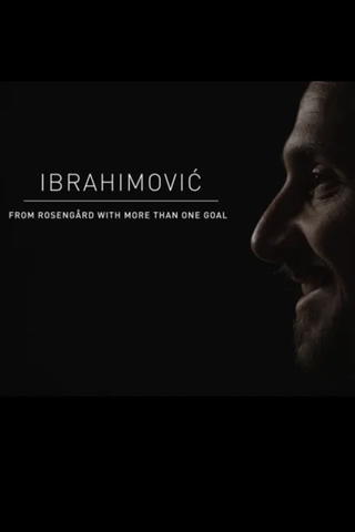 Ibrahimovic - från Rosengård med mer än ett mål