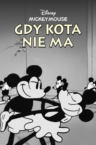 Gdy kota nie ma