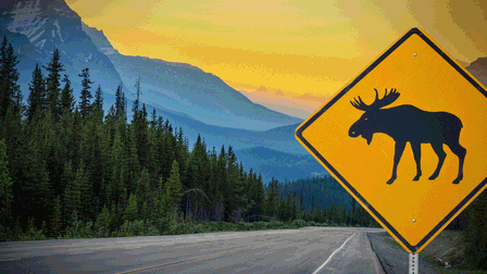 Griff's Canadian Adventure