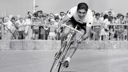 Merckx
