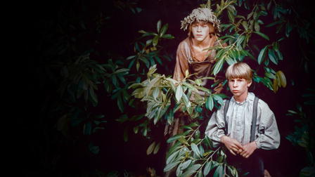 Huckleberry Finn and His Friends