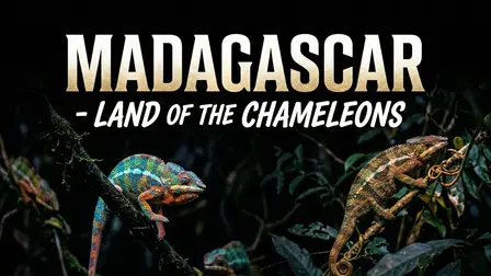 Madagascar - Land of the Chameleons