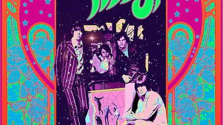 The Seeds: Pushin' Too Hard