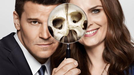 Bones