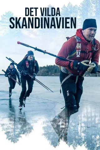 Skandinaviens kust