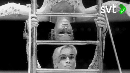 The Show of Shows: 100 Years of Vaudeville, Circuses and Carnivals