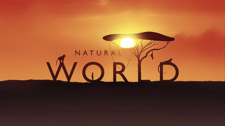 Natural World