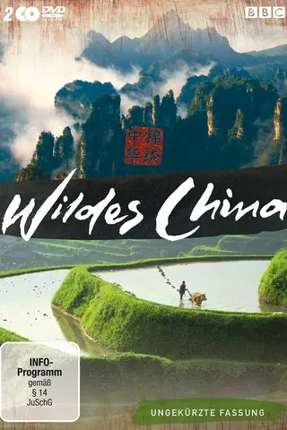 Wildes China