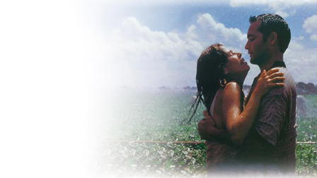 Amor vertical