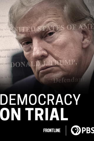 Democracy on Trial