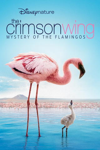 Disneynature Das Geheimnis der Flamingos
