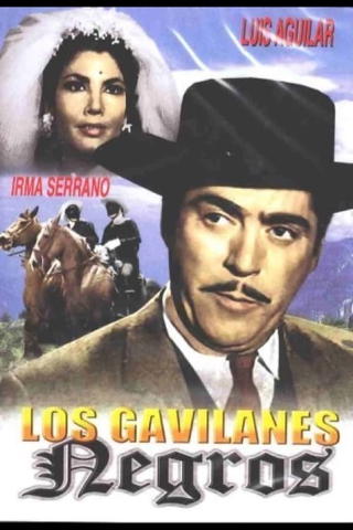Los gavilanes negros