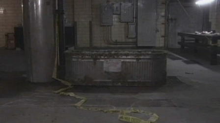 The Slaughterhouse Massacre