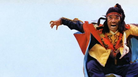 The Super Kung-Fu Fighter