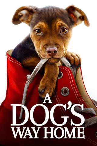 A Dog’s Way Home