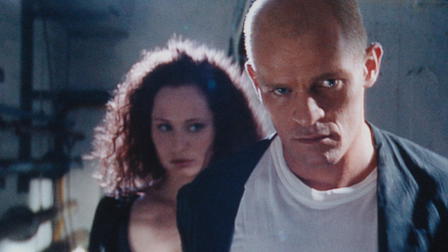 Webmaster