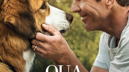 Qua la zampa 2 - Un amico è per sempre