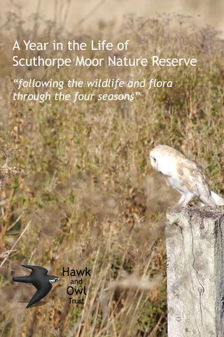 A Year in the Life of Sculthorpe Moor Nature Reserve