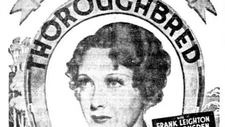 Thoroughbred