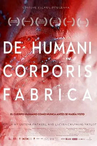 De Humani Corporis Fabrica