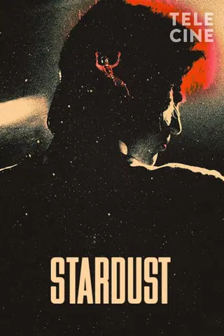Stardust