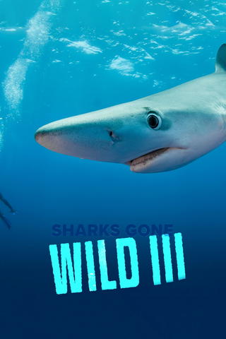 Sharks Gone Wild 3