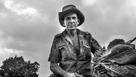 Campesino