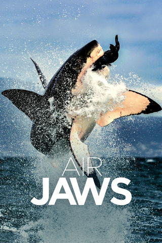 Air Jaws