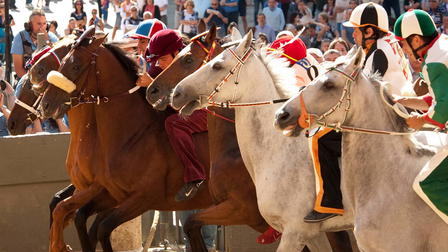 Palio