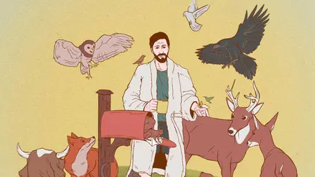 Joe Zimmerman: Cult Classic