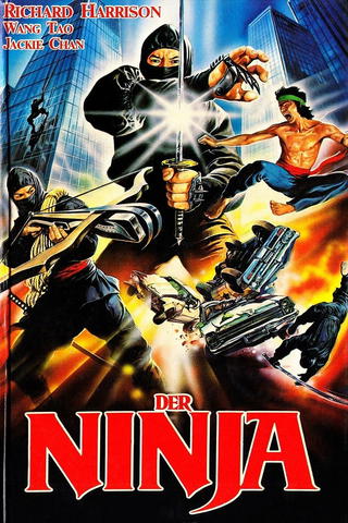 Der Ninja