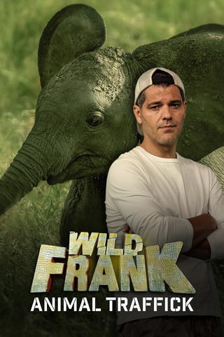 Wild Frank Animal Traffick