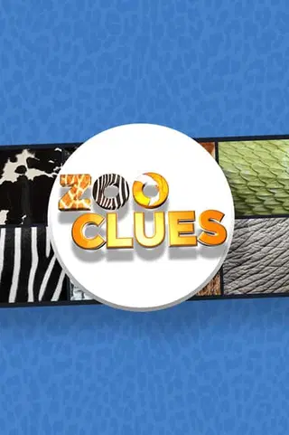Zoo Clues